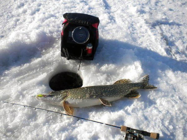 Fish Finders for Ice Fishing