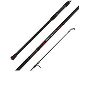 Fiblink Surf Spinning Fishing Rod, best fishing rod for travel