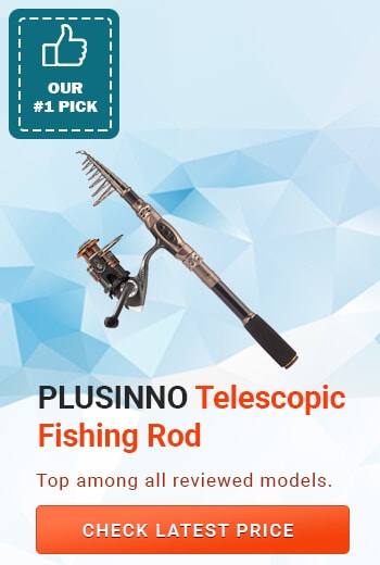 PLUSINNO Fishing Rod and Reel Combos, best telescopic fishing rod, best telescopic fishing rod reviews