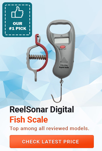ReelSonar Fish Scale and Lip Gripper, best digital fish scale, best handheld fish scale